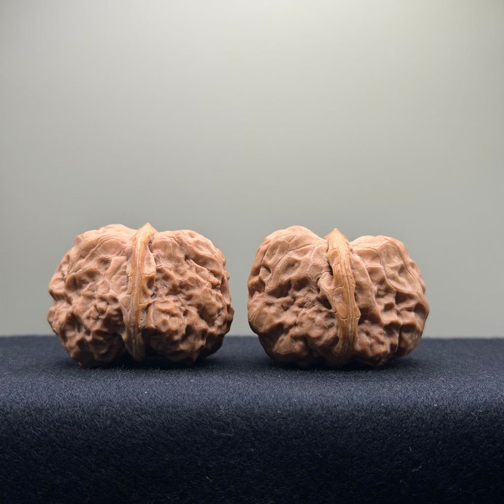 Toad Head Wenwan Walnut · 35mm · Entry Ritual