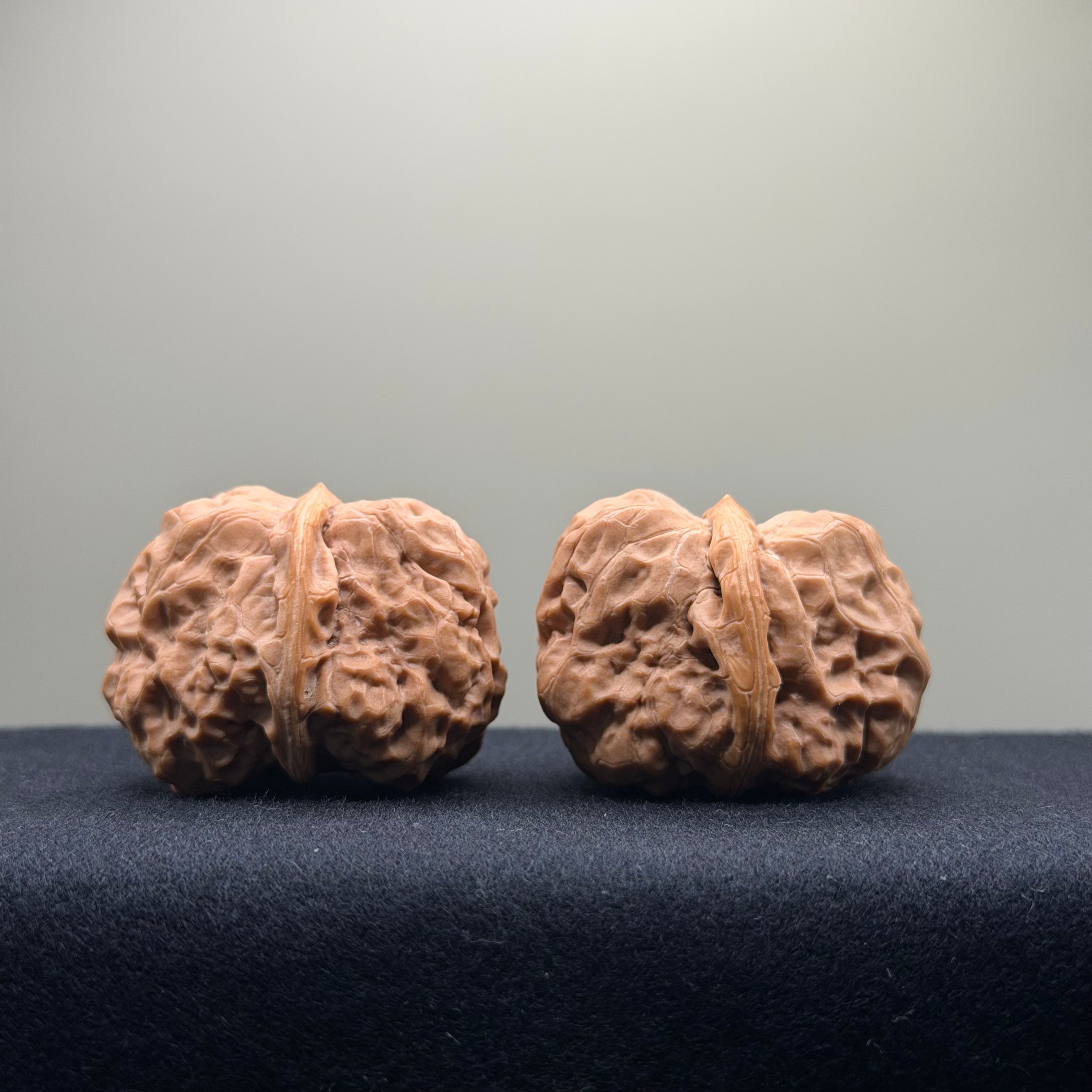 Toad Head Wenwan Walnut · 35mm · Entry Ritual