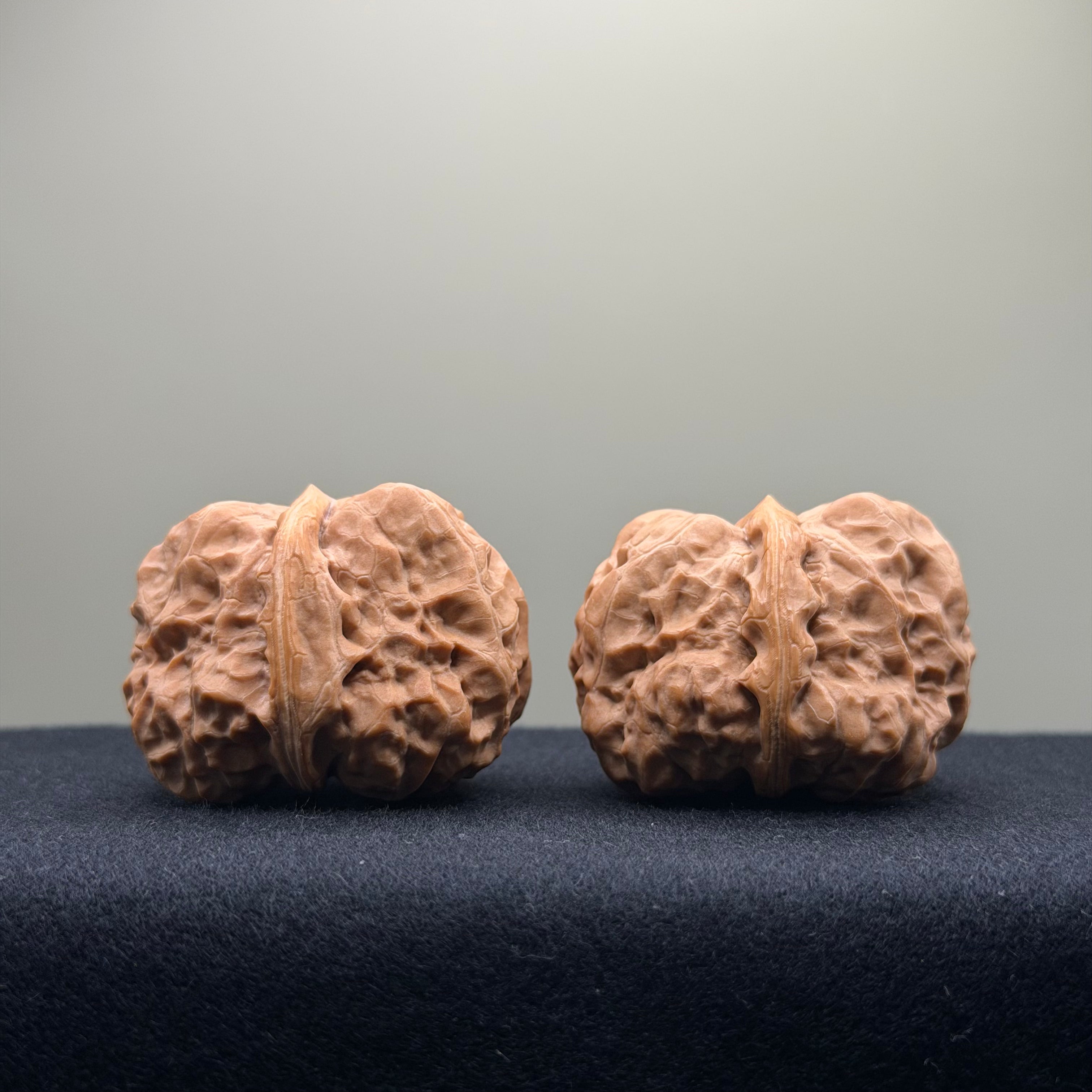 Toad Head Wenwan Walnut · 35mm · Entry Ritual