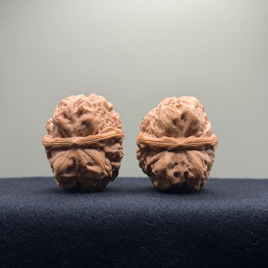 Toad Head Wenwan Walnut · 35mm · Entry Ritual