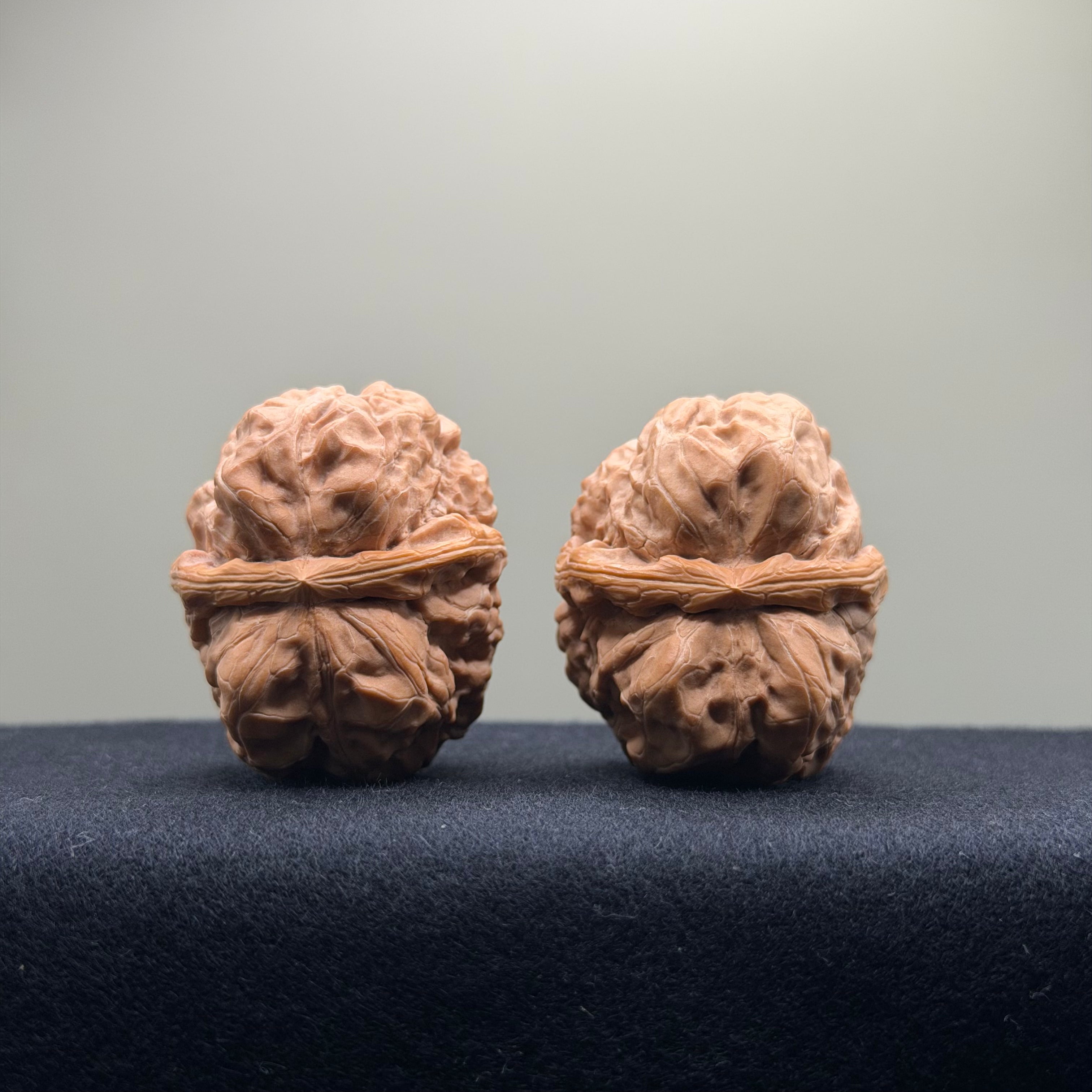 Toad Head Wenwan Walnut · 35mm · Entry Ritual