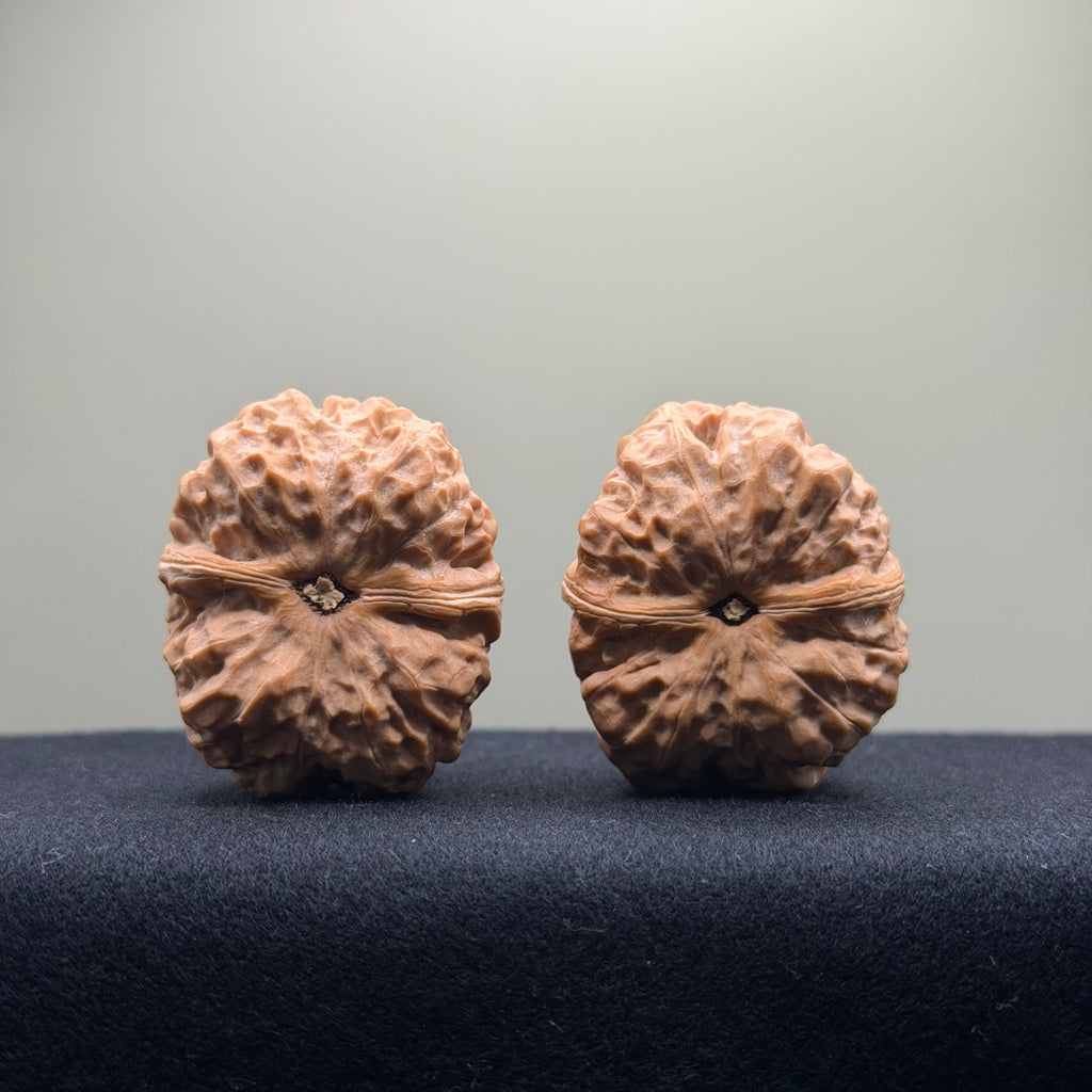 Toad Head Wenwan Walnut · 35mm · Entry Ritual