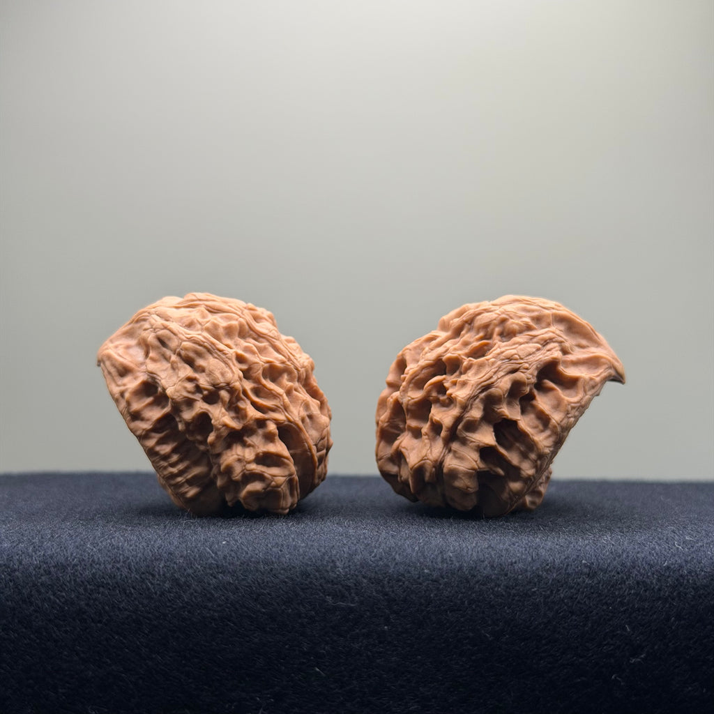 Snake Head Wenwan Walnut  · 35mm · Natural · Select Ritual