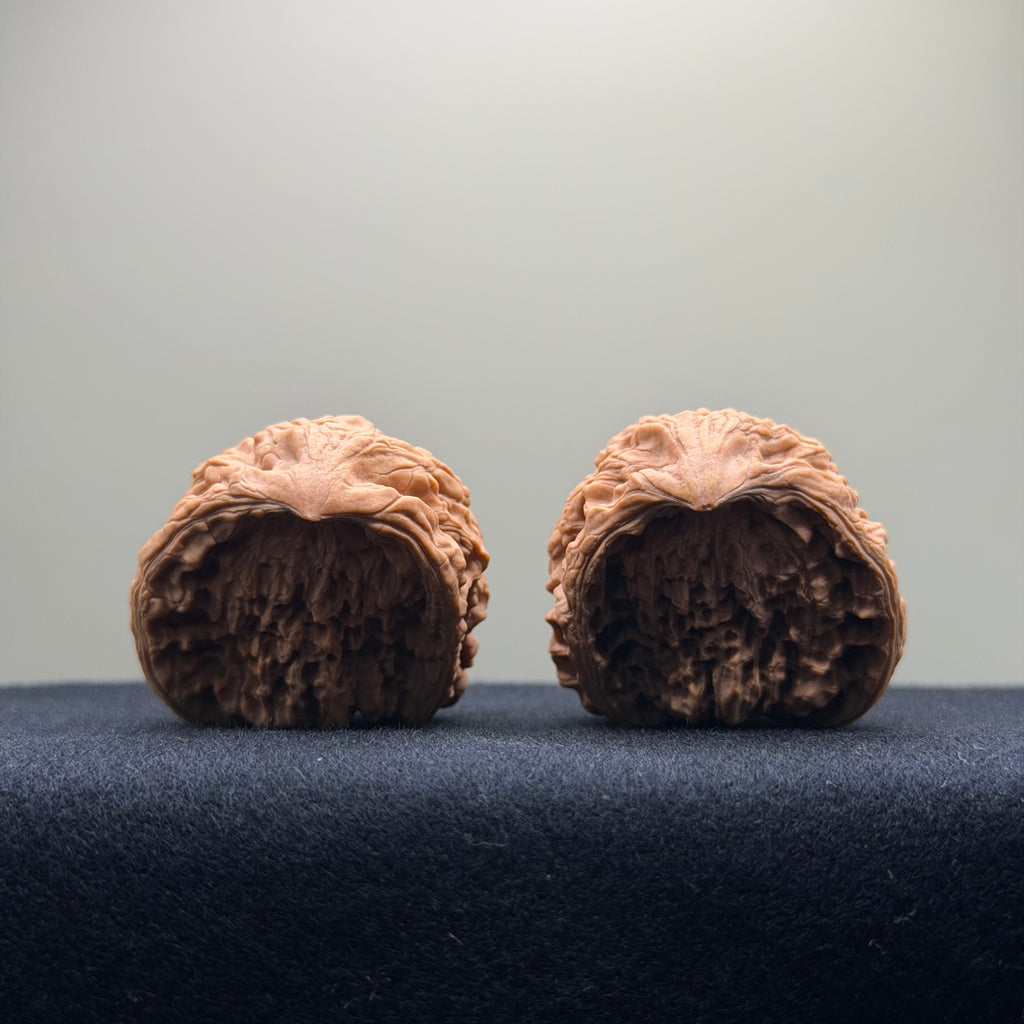 Snake Head Wenwan Walnut  · 35mm · Natural · Select Ritual