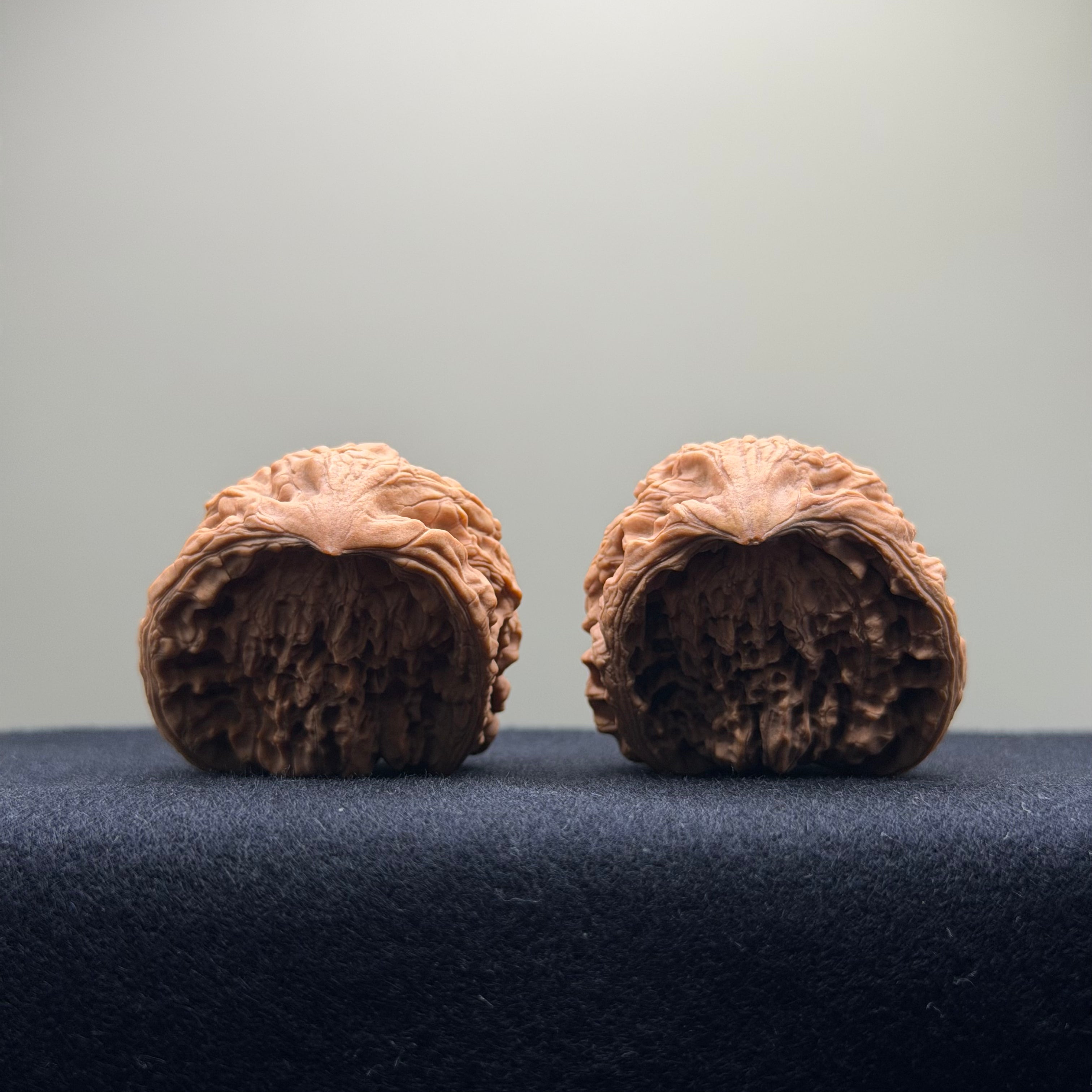 Snake Head Wenwan Walnut  · 35mm · Natural · Select Ritual