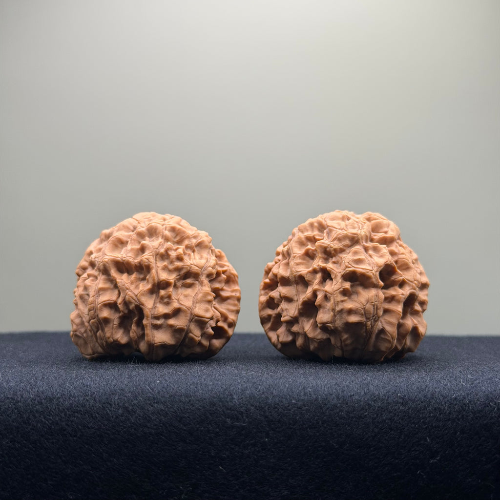 Snake Head Wenwan Walnut  · 35mm · Natural · Select Ritual