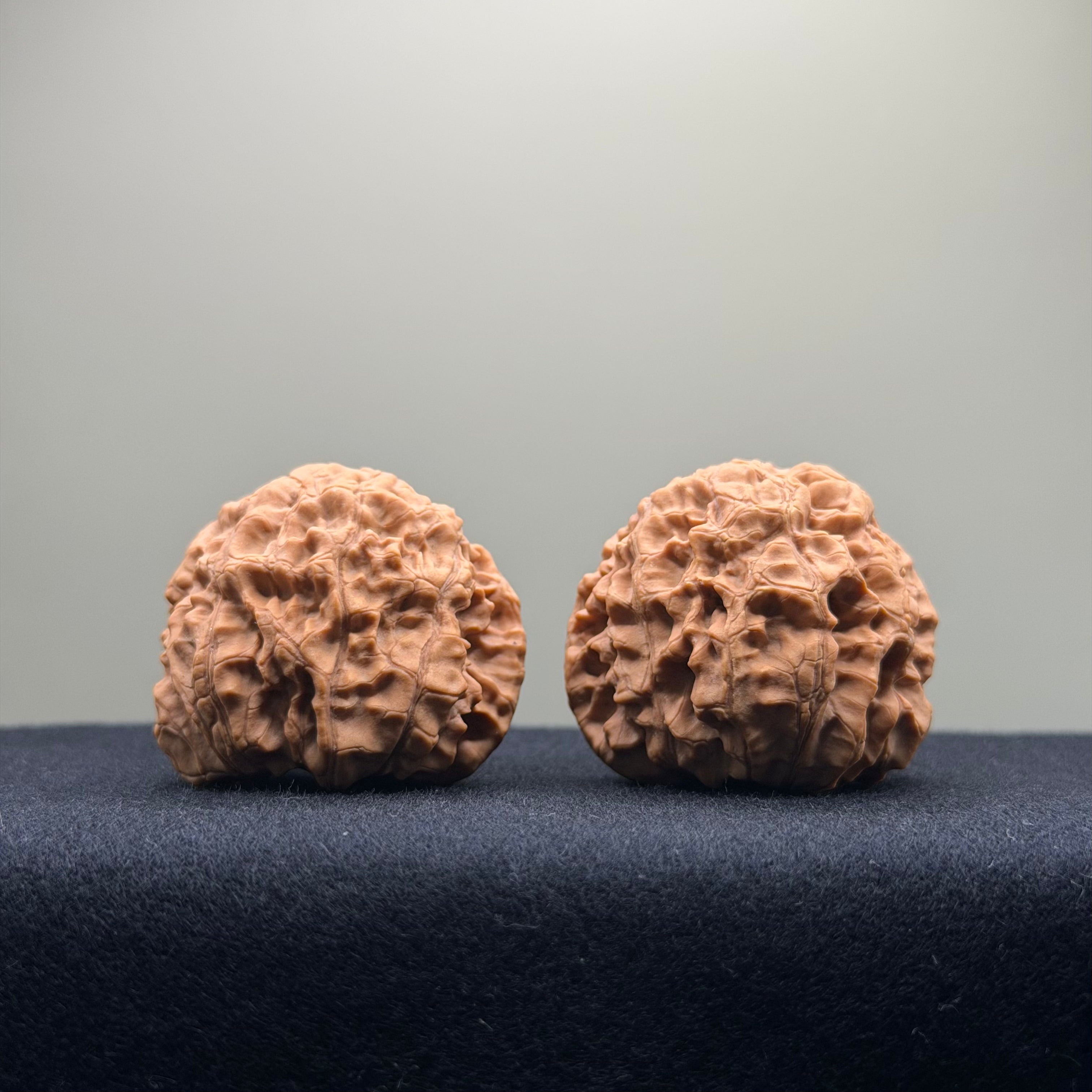 Snake Head Wenwan Walnut  · 35mm · Natural · Select Ritual