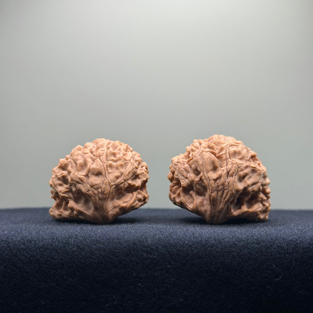 Snake Head Wenwan Walnut  · 35mm · Natural · Select Ritual