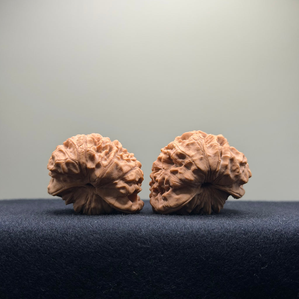 Snake Head Wenwan Walnut  · 35mm · Natural · Select Ritual