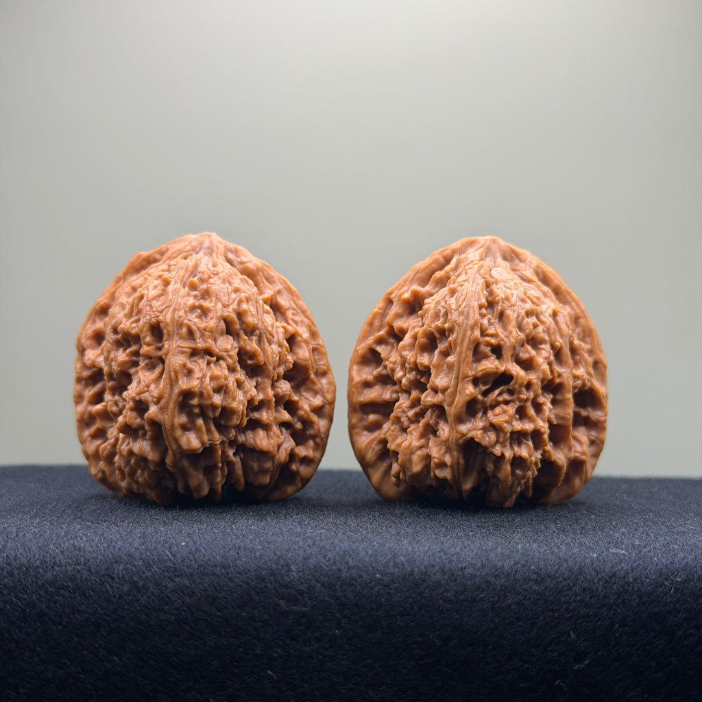 Nanjiang Stone Wenwan Walnut · 42mm · Natural · Collector Ritual