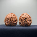 Nanjiang Stone Wenwan Walnut · 42mm · Natural · Collector Ritual