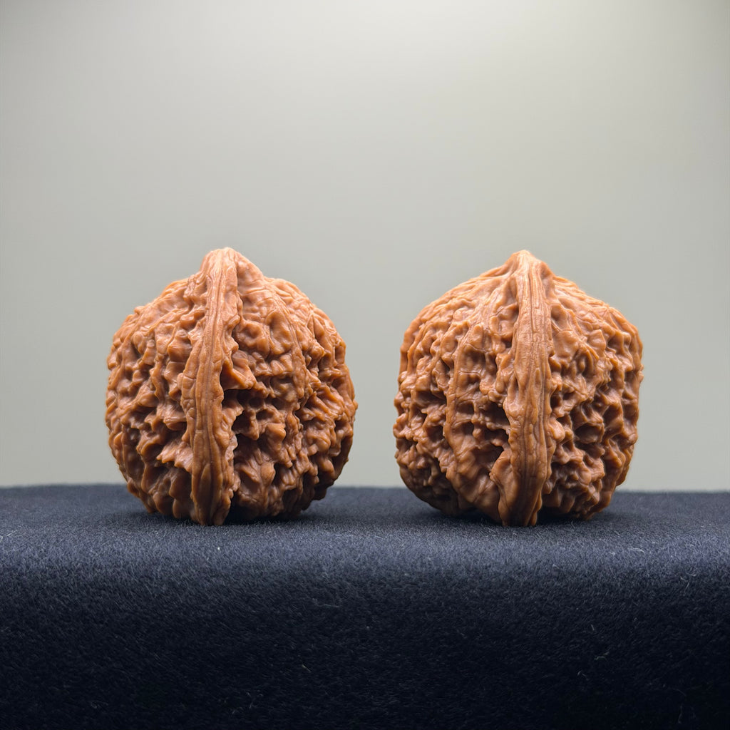 Nanjiang Stone Wenwan Walnut · 42mm · Natural · Collector Ritual