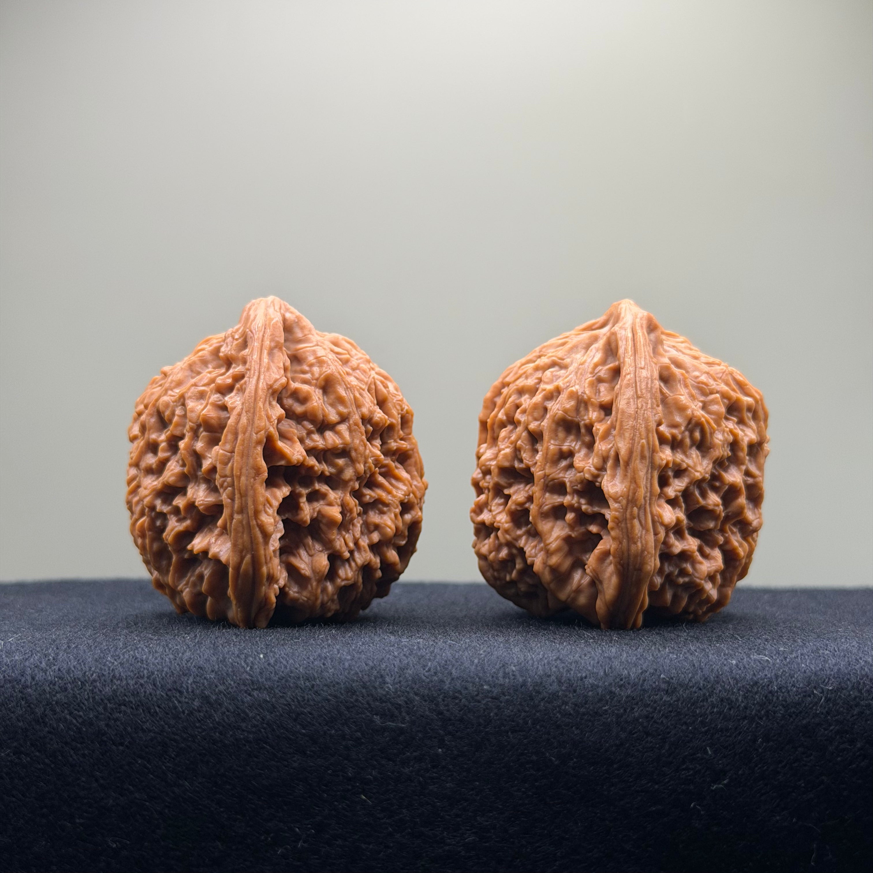 Nanjiang Stone Wenwan Walnut · 42mm · Natural · Collector Ritual