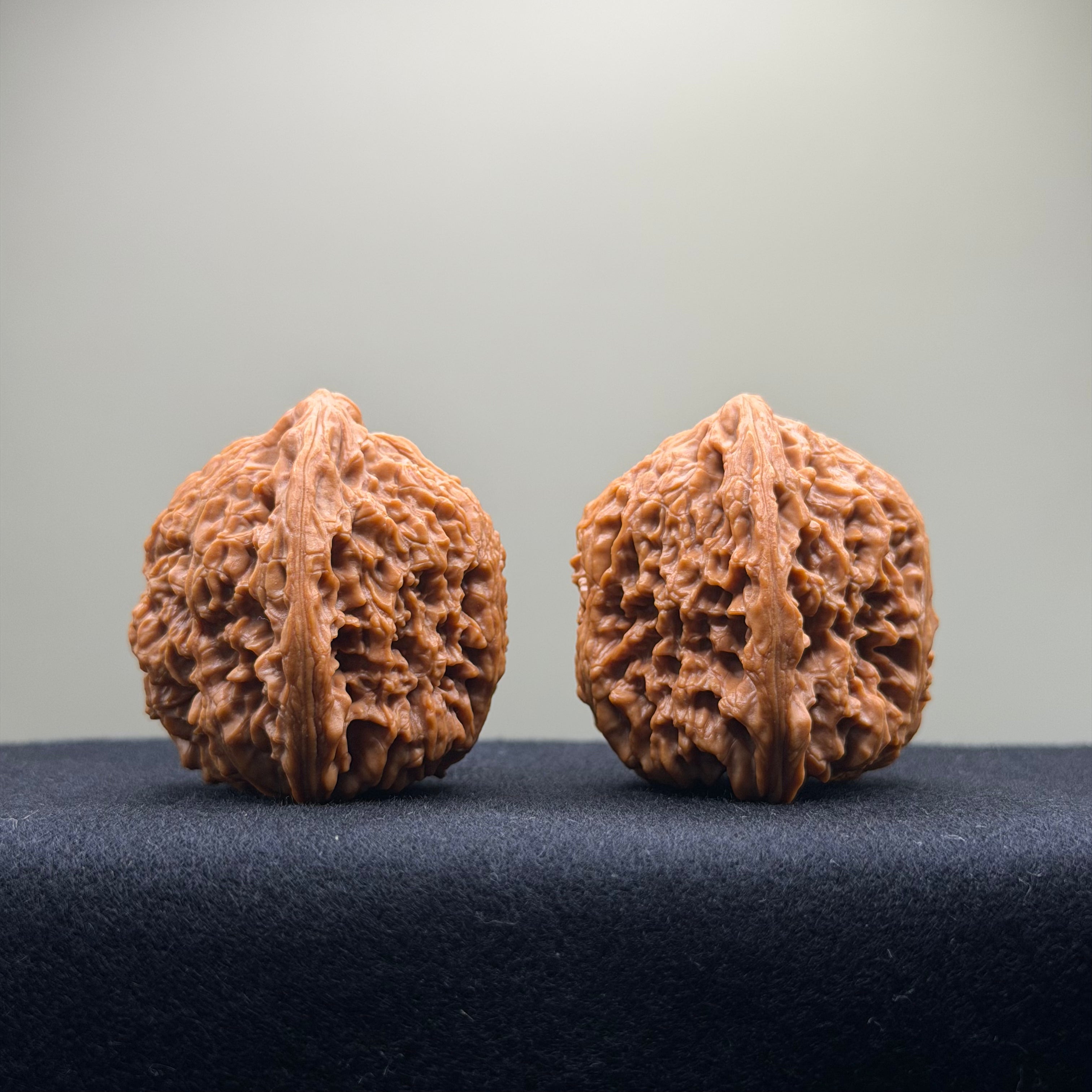Nanjiang Stone Wenwan Walnut · 42mm · Natural · Collector Ritual