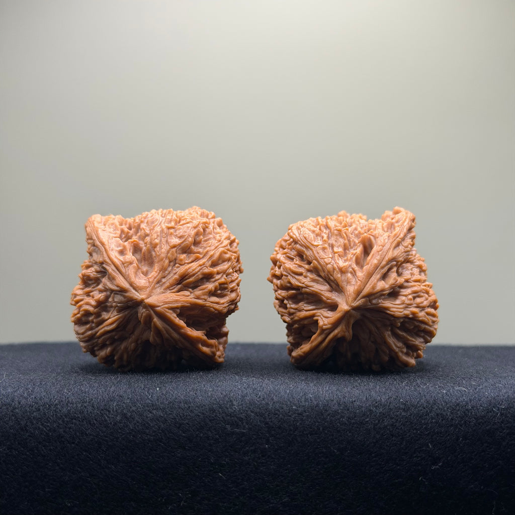 Nanjiang Stone Wenwan Walnut · 42mm · Natural · Collector Ritual