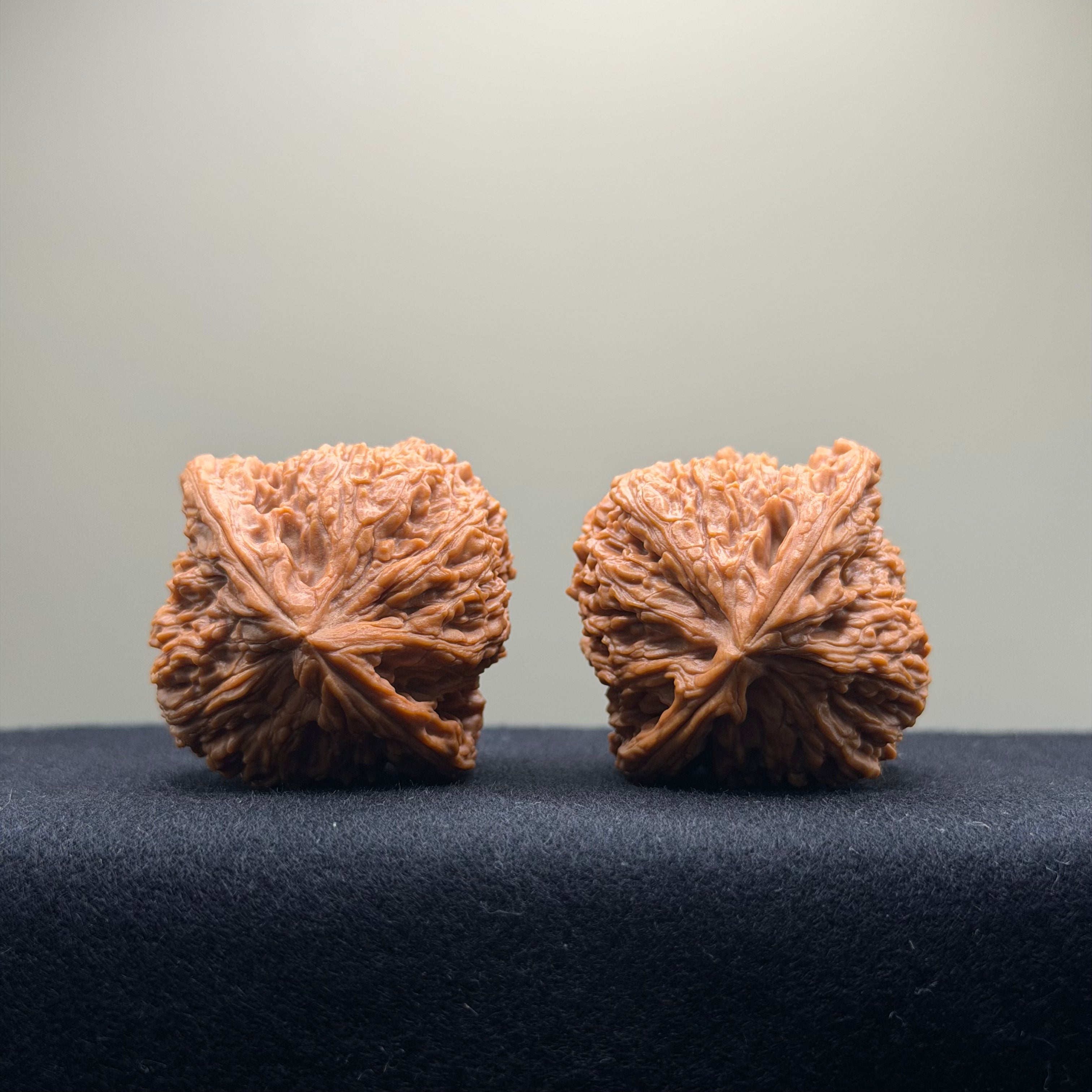 Nanjiang Stone Wenwan Walnut · 42mm · Natural · Collector Ritual