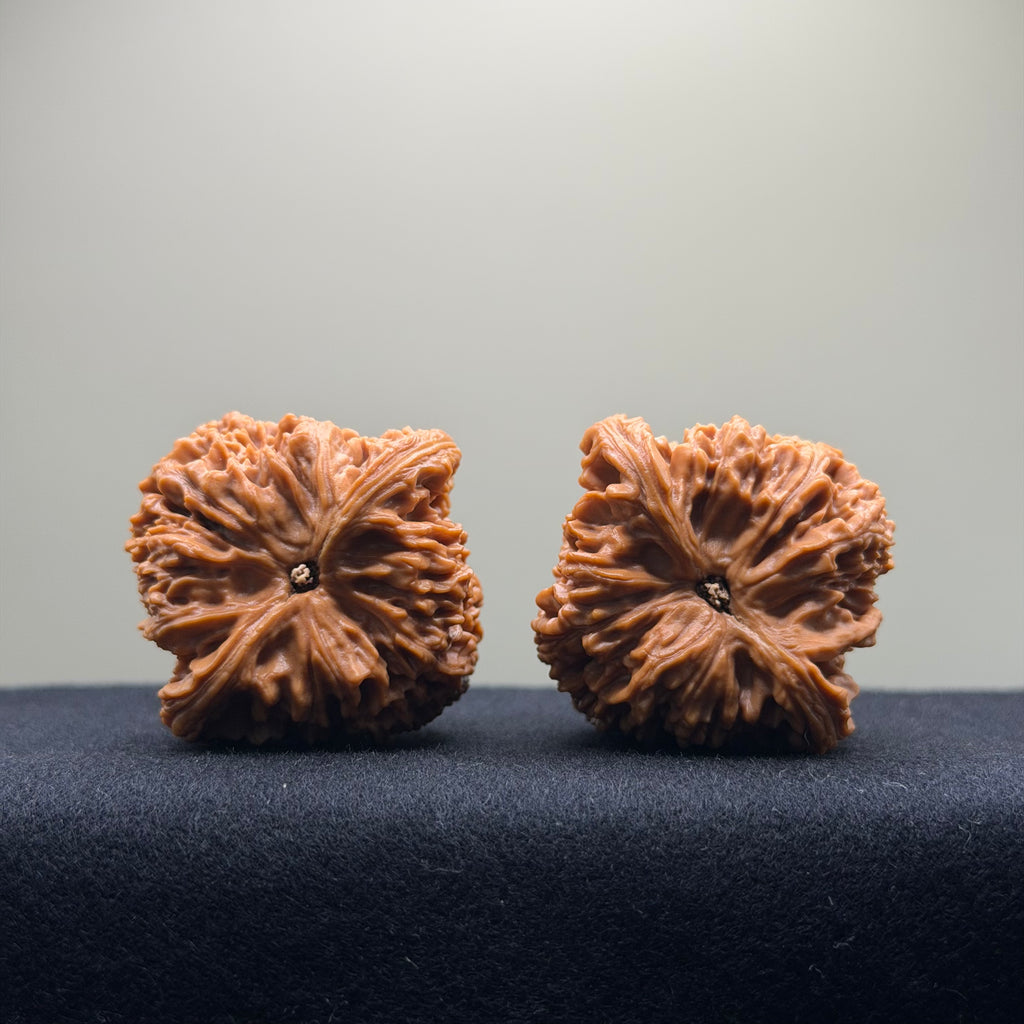 Nanjiang Stone Wenwan Walnut · 42mm · Natural · Collector Ritual