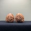 Dense Grain Wenwan Walnut · 35mm · Natural · Entry Ritual