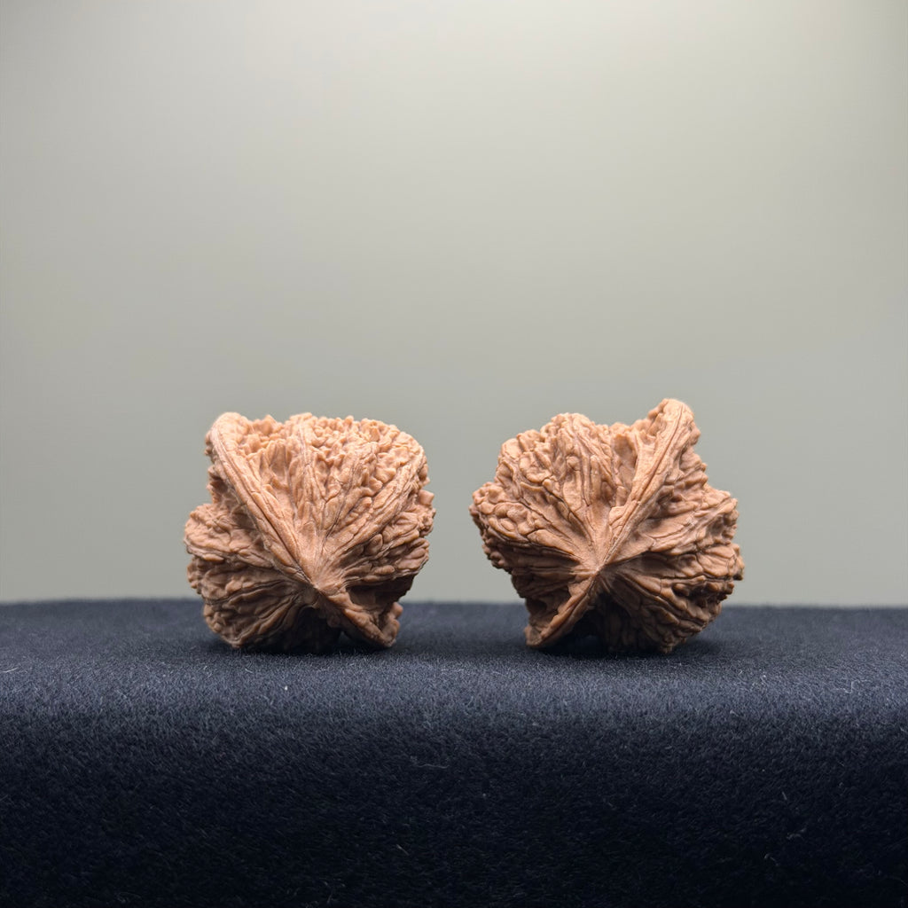 Dense Grain Wenwan Walnut · 35mm · Natural · Entry Ritual