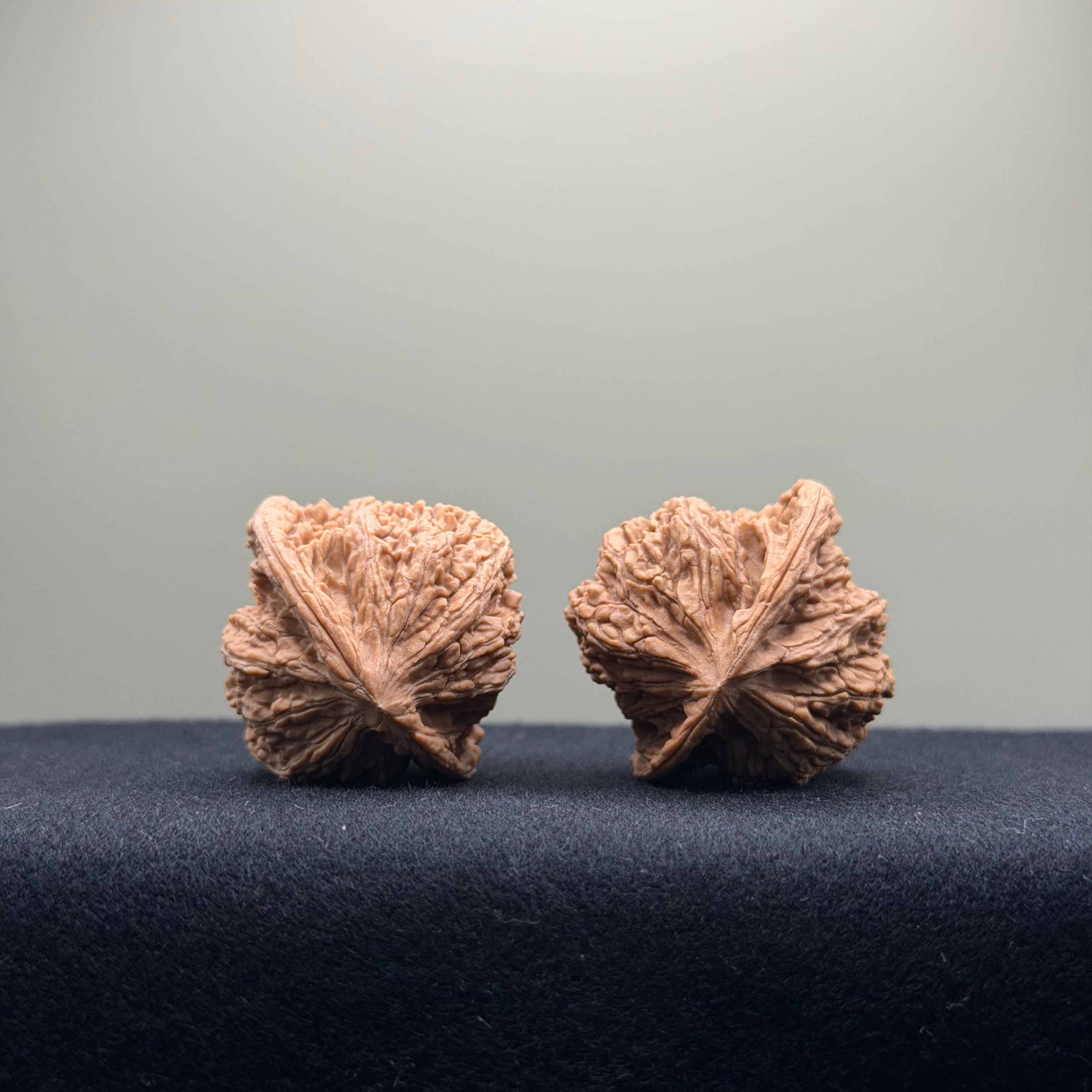 Dense Grain Wenwan Walnut · 35mm · Natural · Entry Ritual