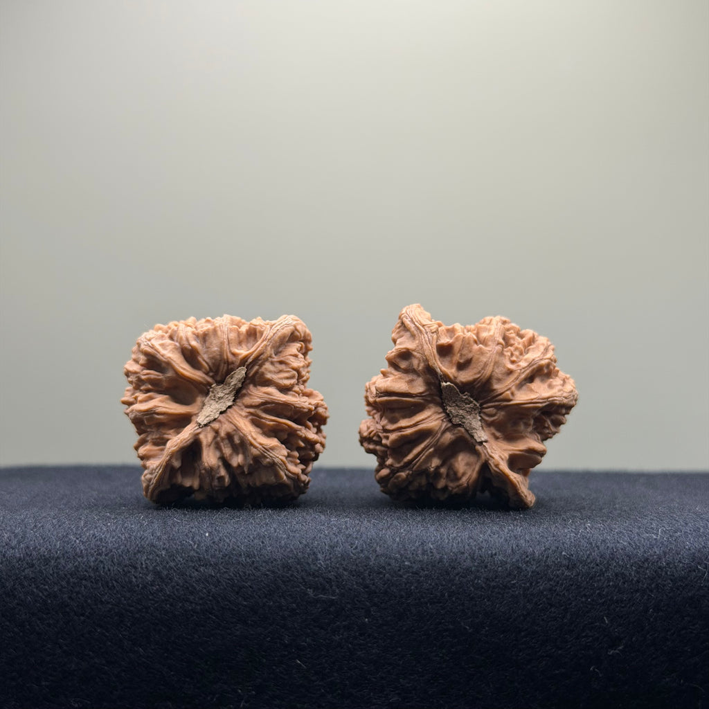 Dense Grain Wenwan Walnut · 35mm · Natural · Entry Ritual