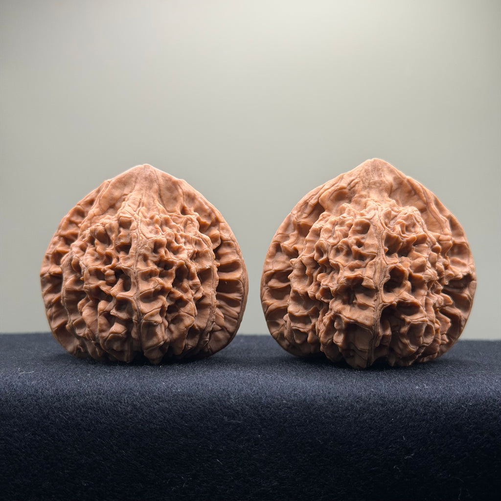 Official Hat Wenwan Walnut · 53mm · Natural ·Premium Ritual
