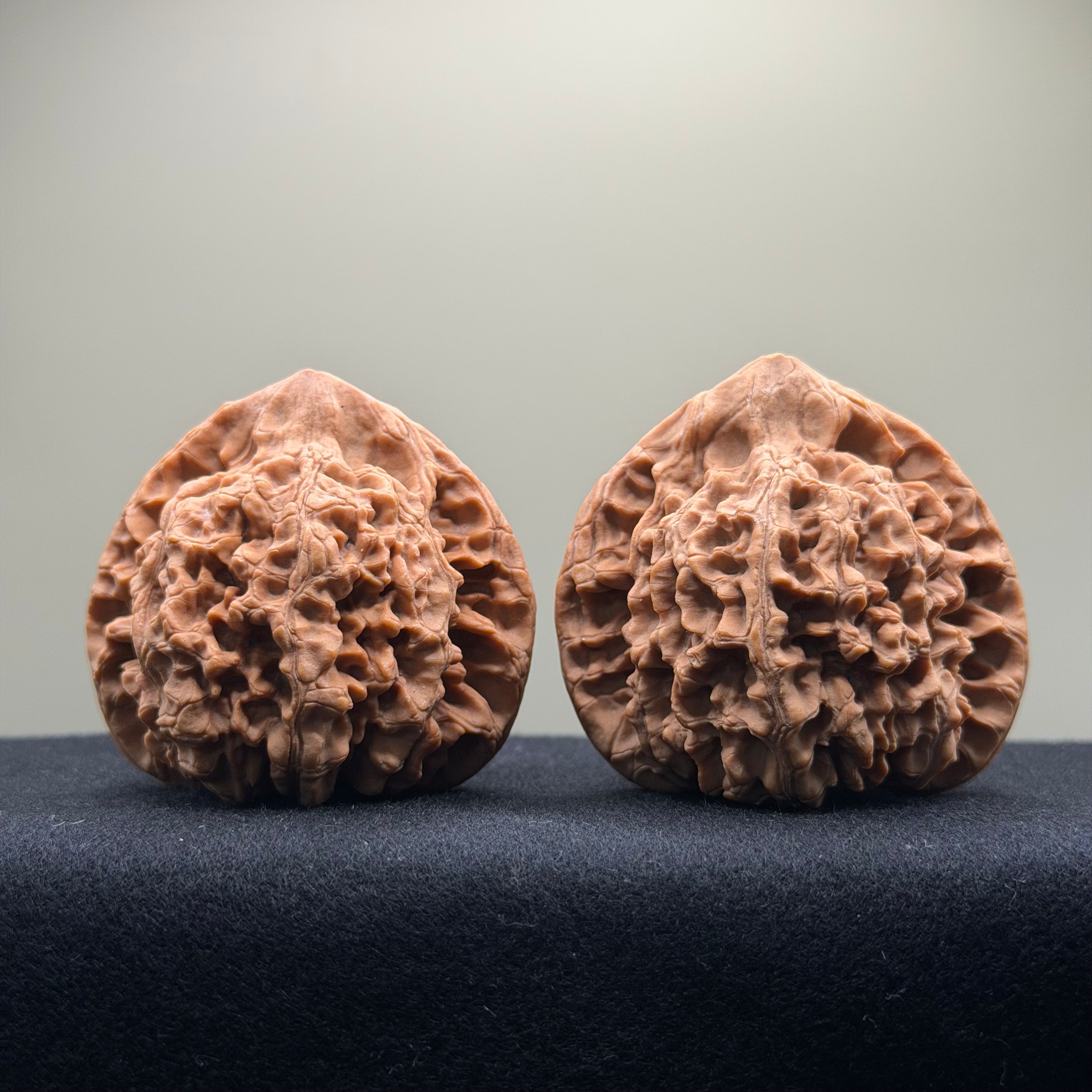 Official Hat Wenwan Walnut · 53mm · Natural ·Premium Ritual
