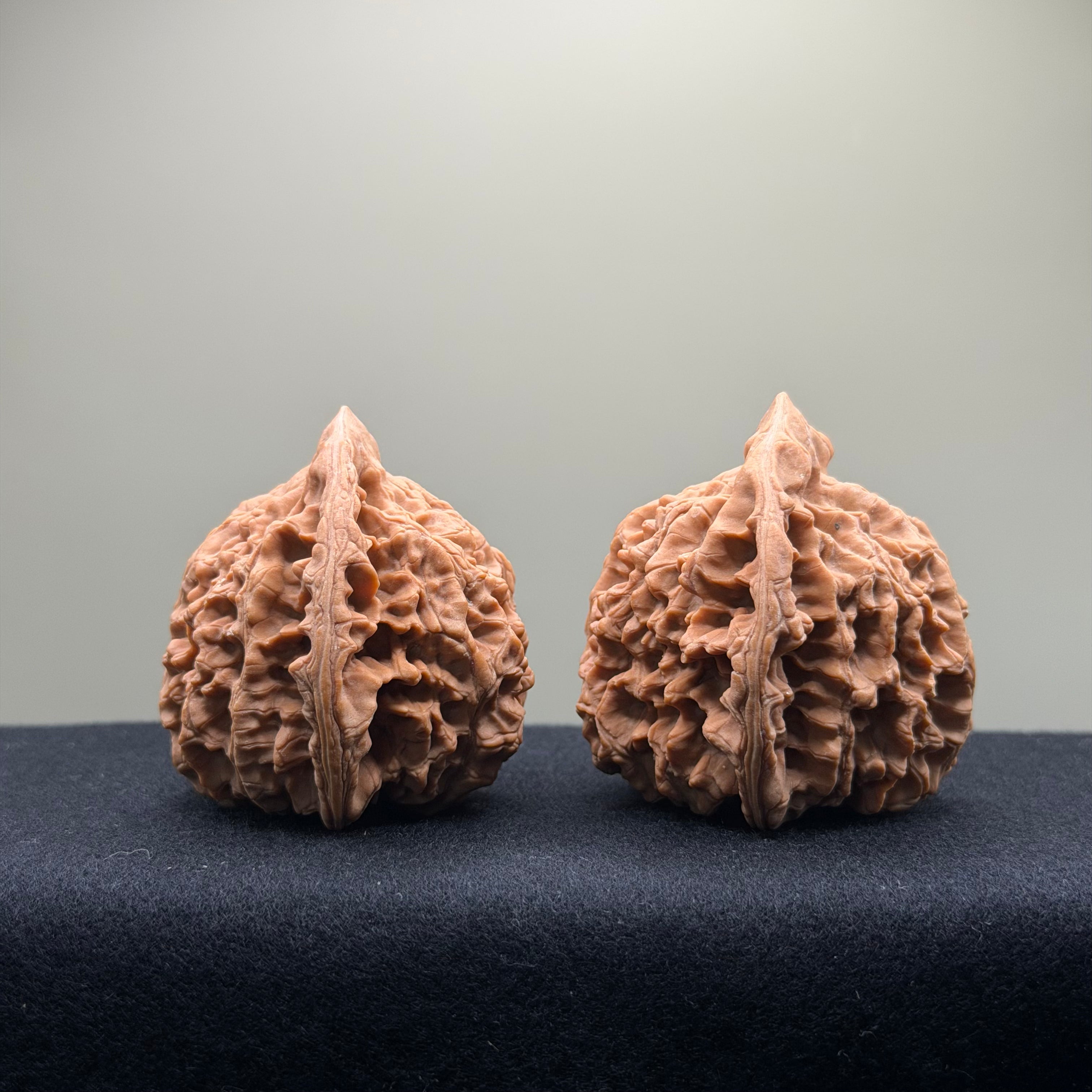 Official Hat Wenwan Walnut · 53mm · Natural ·Premium Ritual
