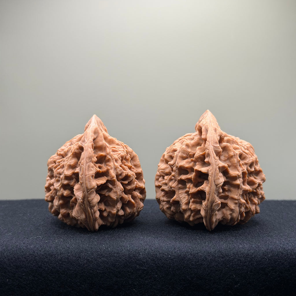 Official Hat Wenwan Walnut · 53mm · Natural ·Premium Ritual