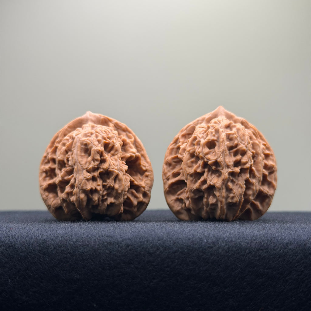 Coiled Dragon Tiger Head Wenwan Walnut · 37mm · Natural · Entry Ritual
