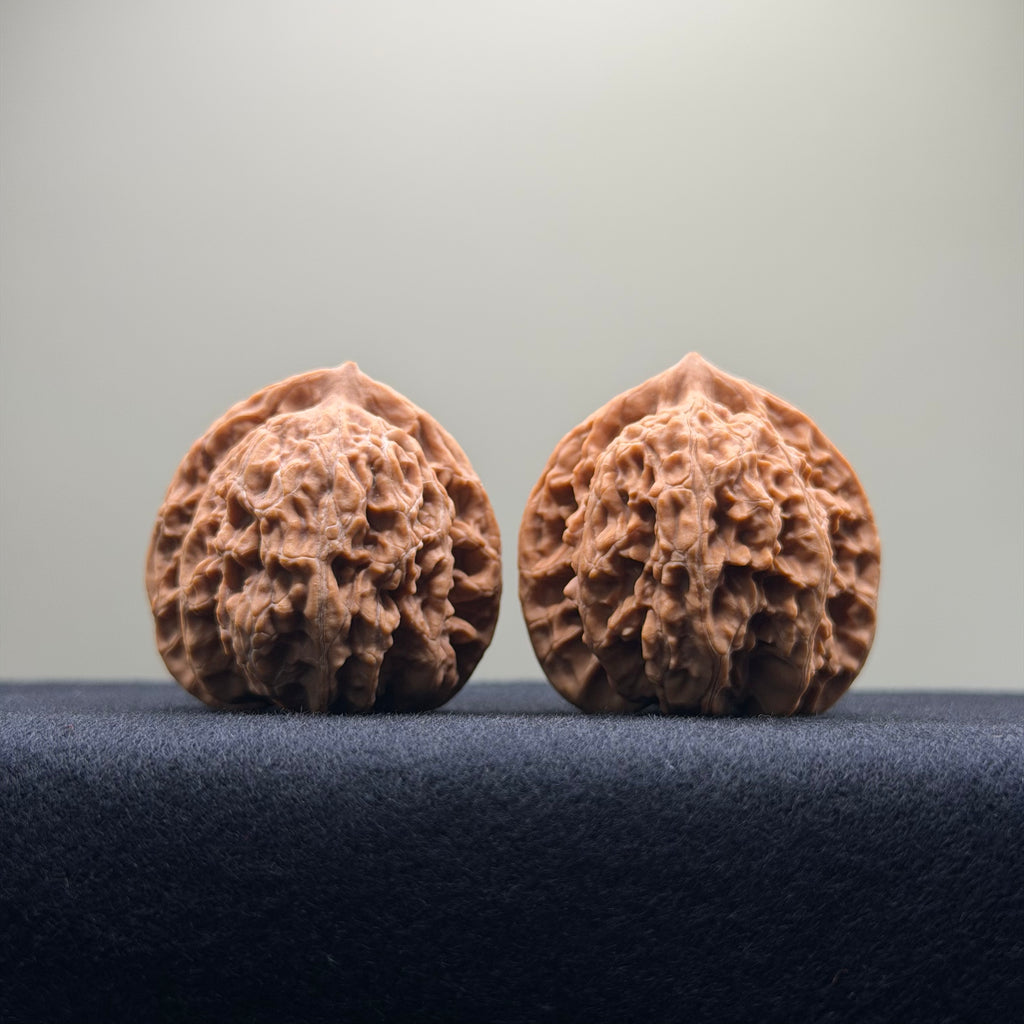 Coiled Dragon Tiger Head Wenwan Walnut · 37mm · Natural · Entry Ritual