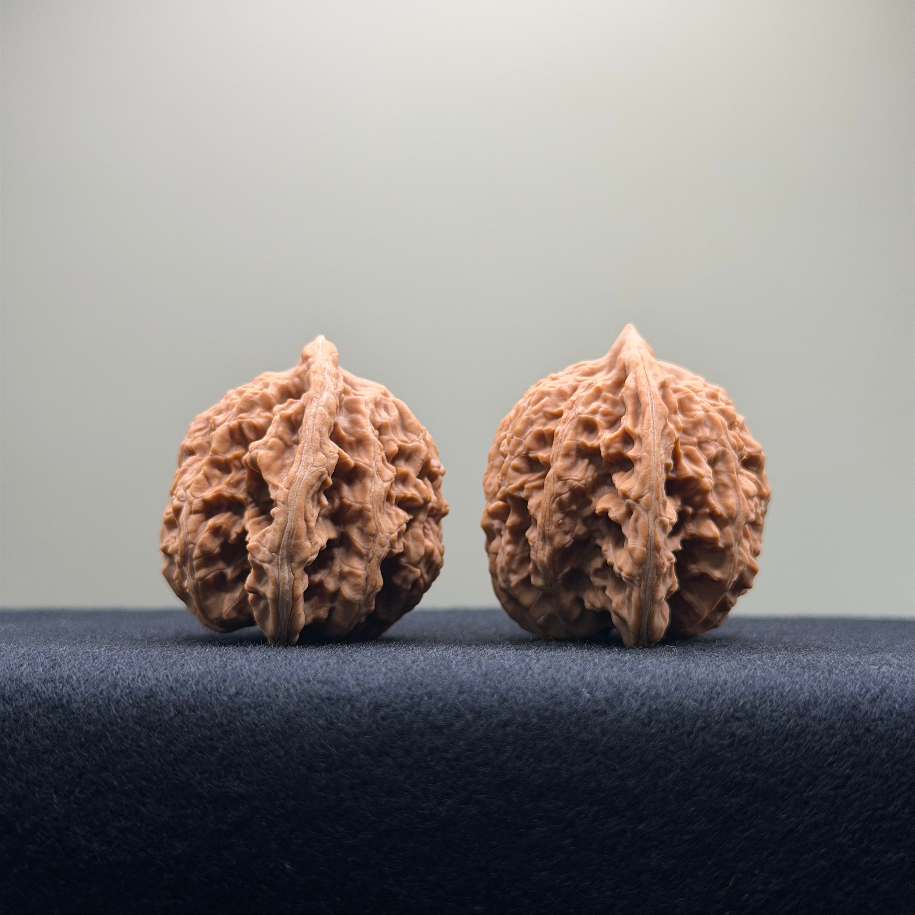 Coiled Dragon Tiger Head Wenwan Walnut · 37mm · Natural · Entry Ritual