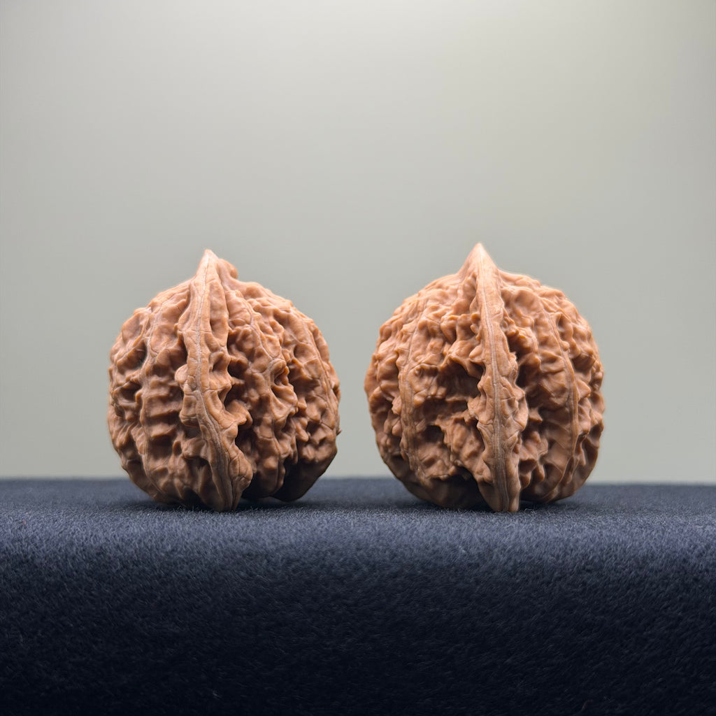 Coiled Dragon Tiger Head Wenwan Walnut · 37mm · Natural · Entry Ritual