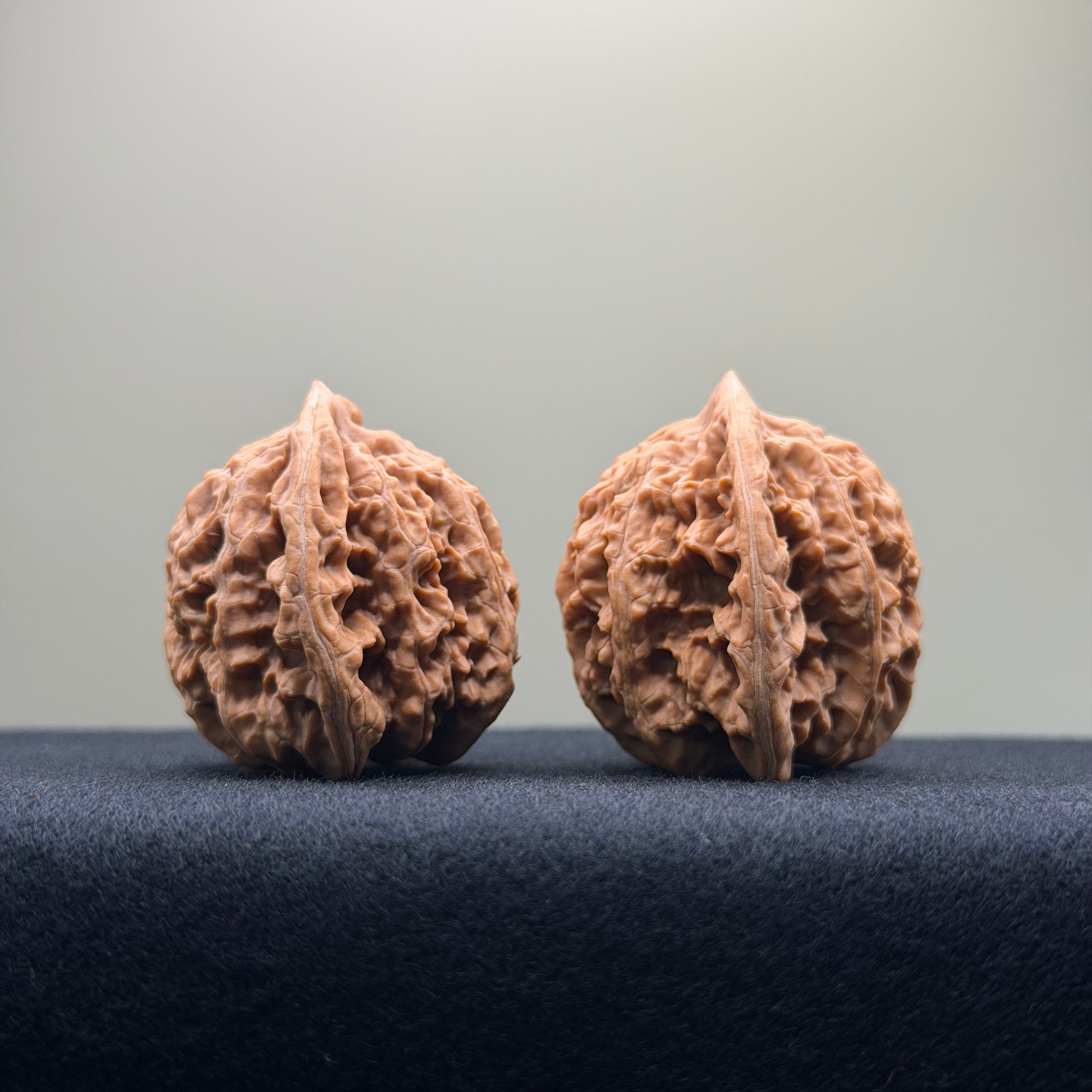 Coiled Dragon Tiger Head Wenwan Walnut · 37mm · Natural · Entry Ritual