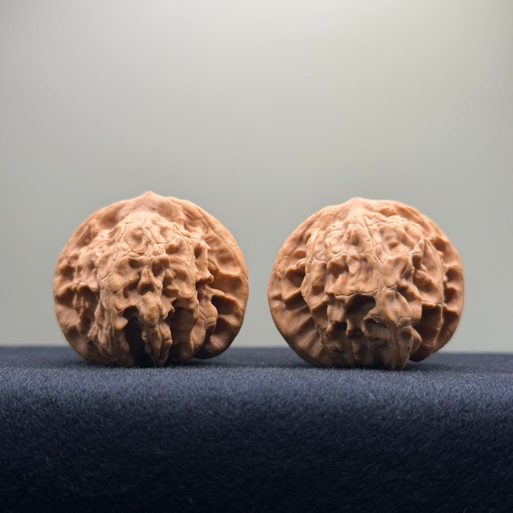 Coiled Dragon Tiger Head Wenwan Walnut · 39mm · Natural · Entry Ritual