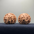 Coiled Dragon Tiger Head Wenwan Walnut · 39mm · Natural · Entry Ritual