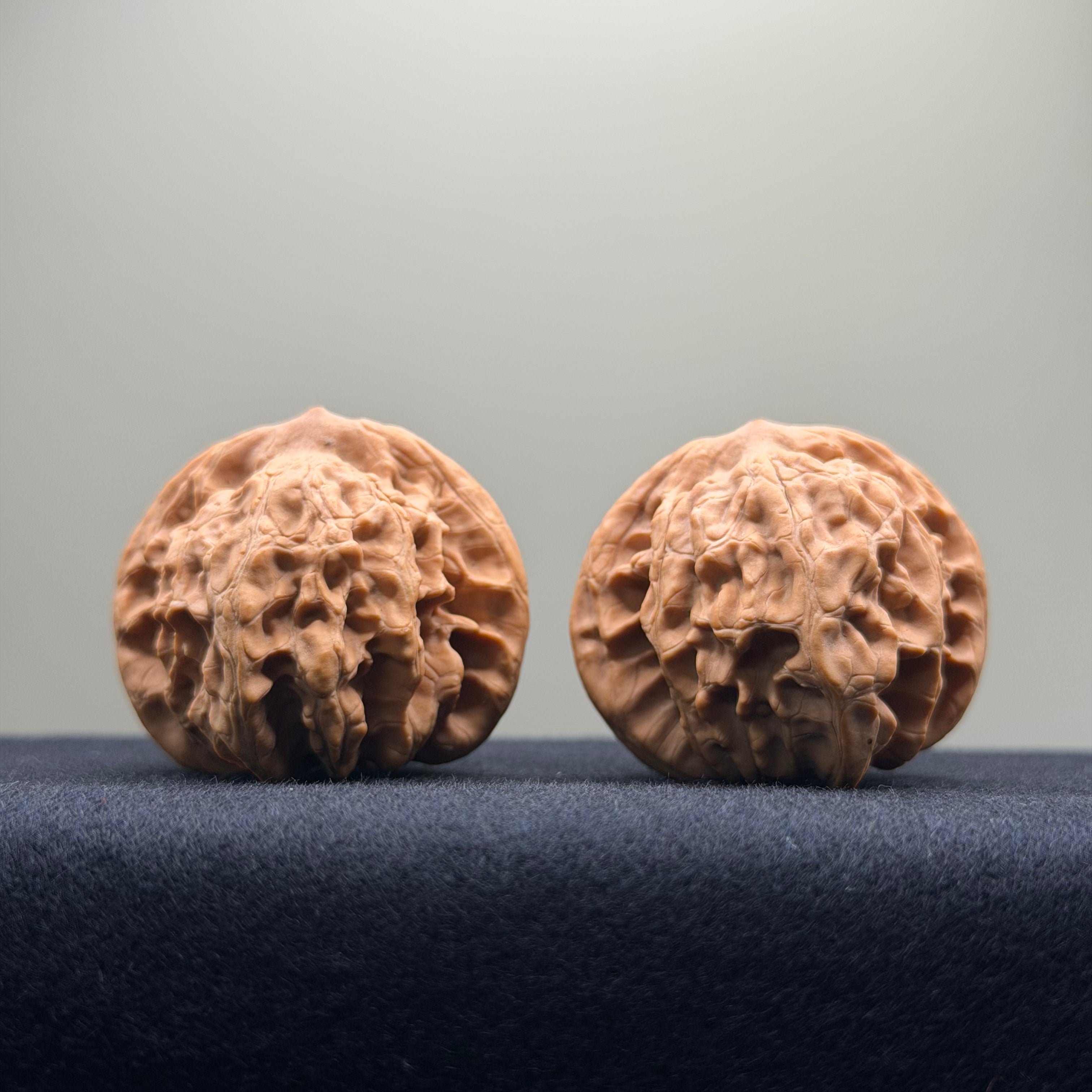 Coiled Dragon Tiger Head Wenwan Walnut · 39mm · Natural · Entry Ritual