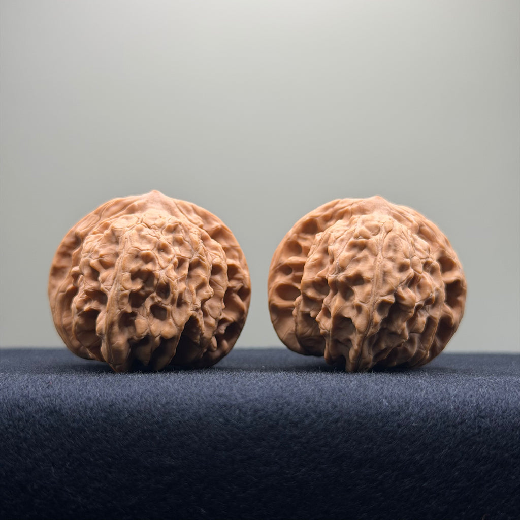 Coiled Dragon Tiger Head Wenwan Walnut · 39mm · Natural · Entry Ritual
