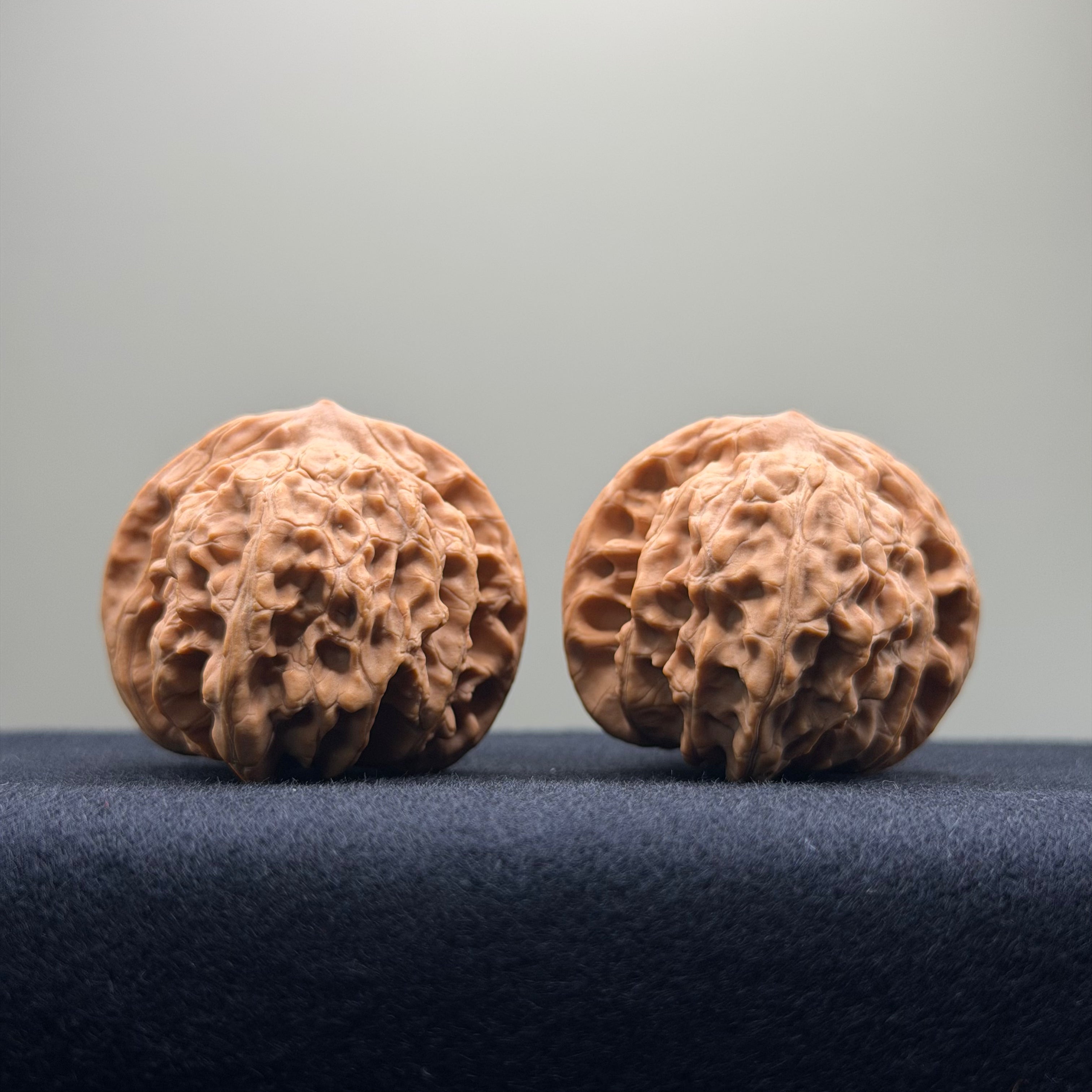 Coiled Dragon Tiger Head Wenwan Walnut · 39mm · Natural · Entry Ritual