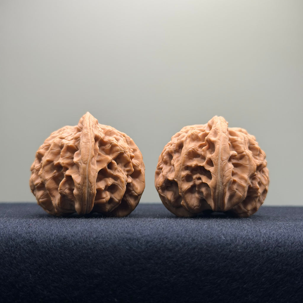 Coiled Dragon Tiger Head Wenwan Walnut · 39mm · Natural · Entry Ritual