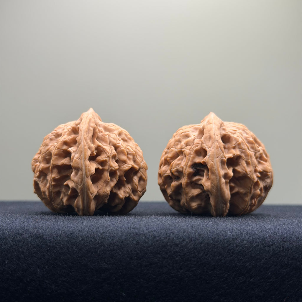 Coiled Dragon Tiger Head Wenwan Walnut · 39mm · Natural · Entry Ritual