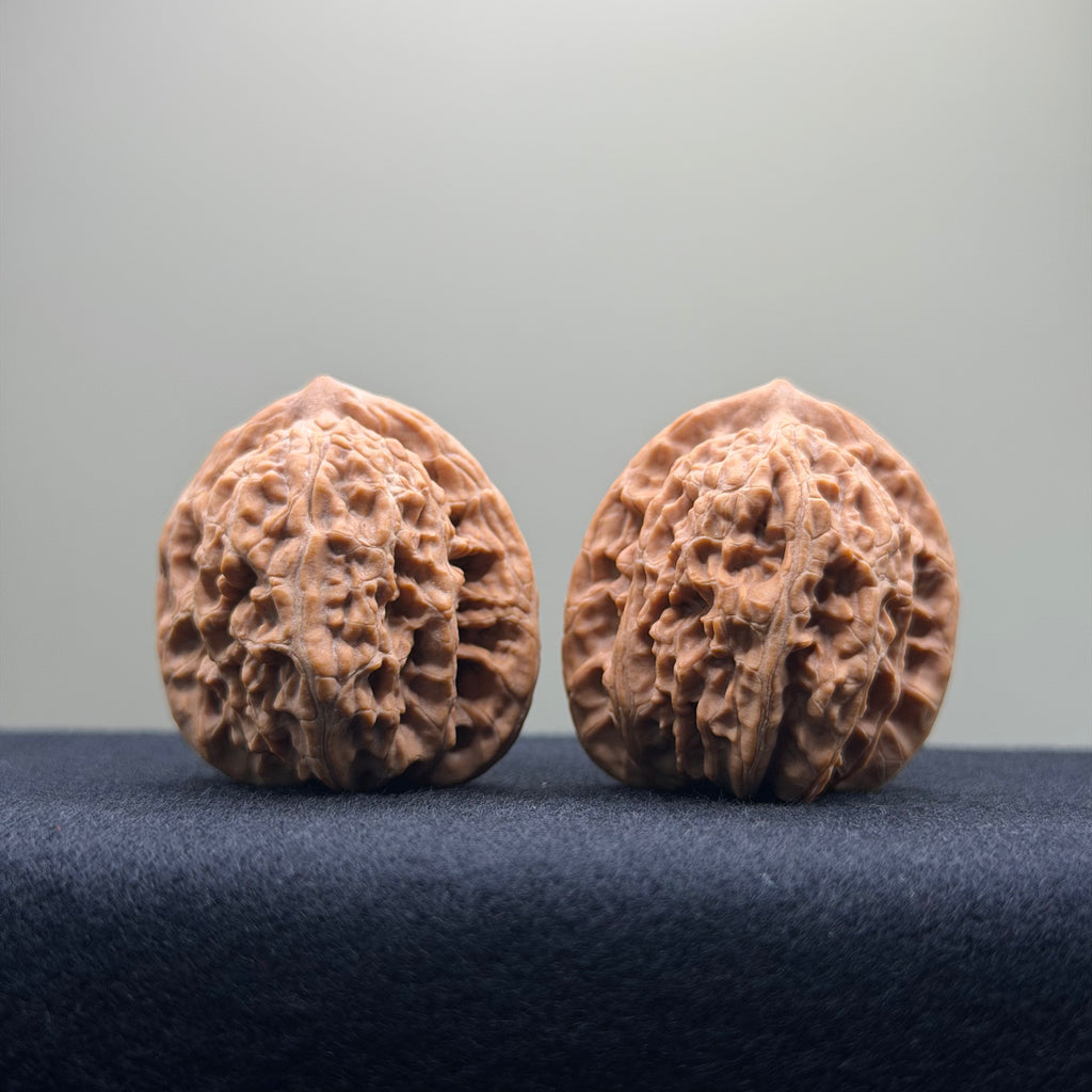 Coiled Dragon Tiger Head Wenwan Walnut · 35mm · Natural · Entry Ritual