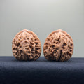 Coiled Dragon Tiger Head Wenwan Walnut · 35mm · Natural · Entry Ritual