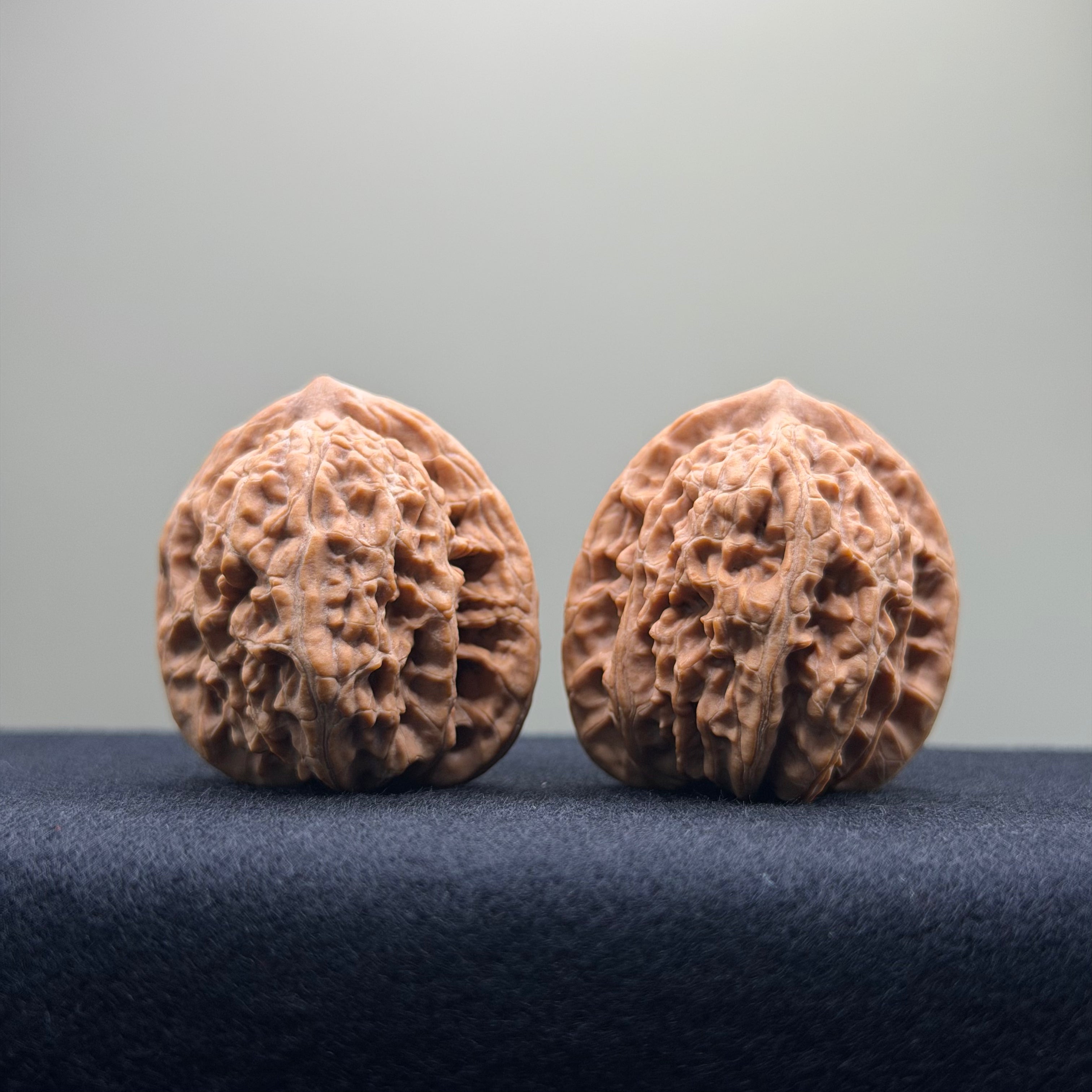Coiled Dragon Tiger Head Wenwan Walnut · 35mm · Natural · Entry Ritual