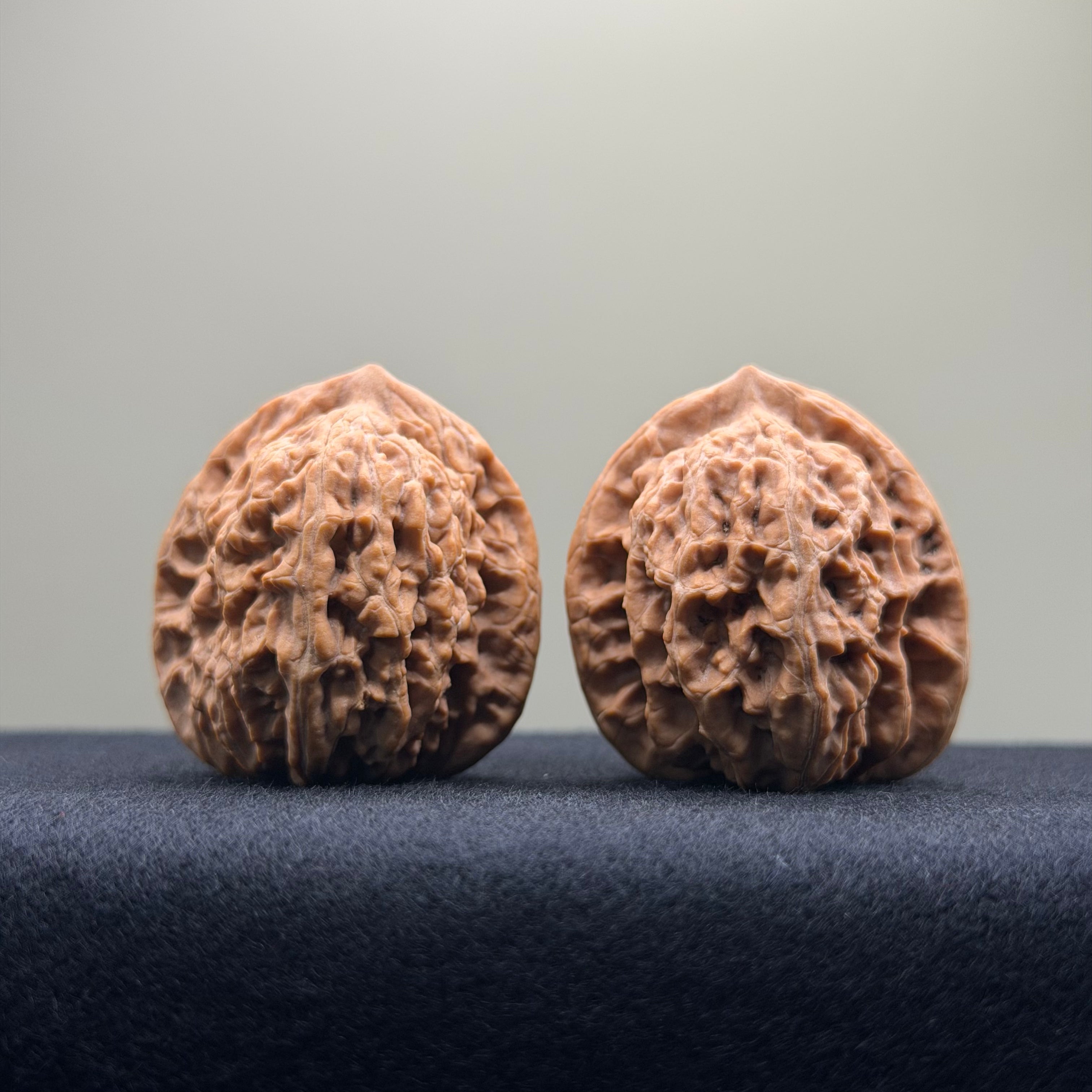 Coiled Dragon Tiger Head Wenwan Walnut · 35mm · Natural · Entry Ritual