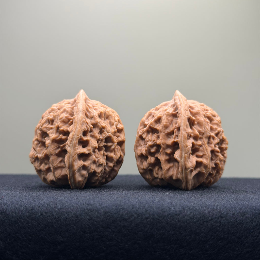 Coiled Dragon Tiger Head Wenwan Walnut · 35mm · Natural · Entry Ritual