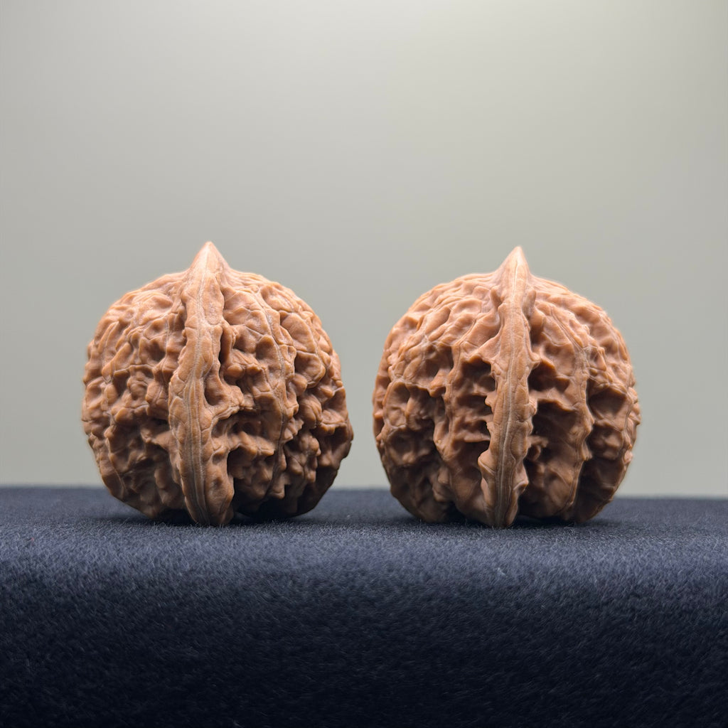 Coiled Dragon Tiger Head Wenwan Walnut · 35mm · Natural · Entry Ritual