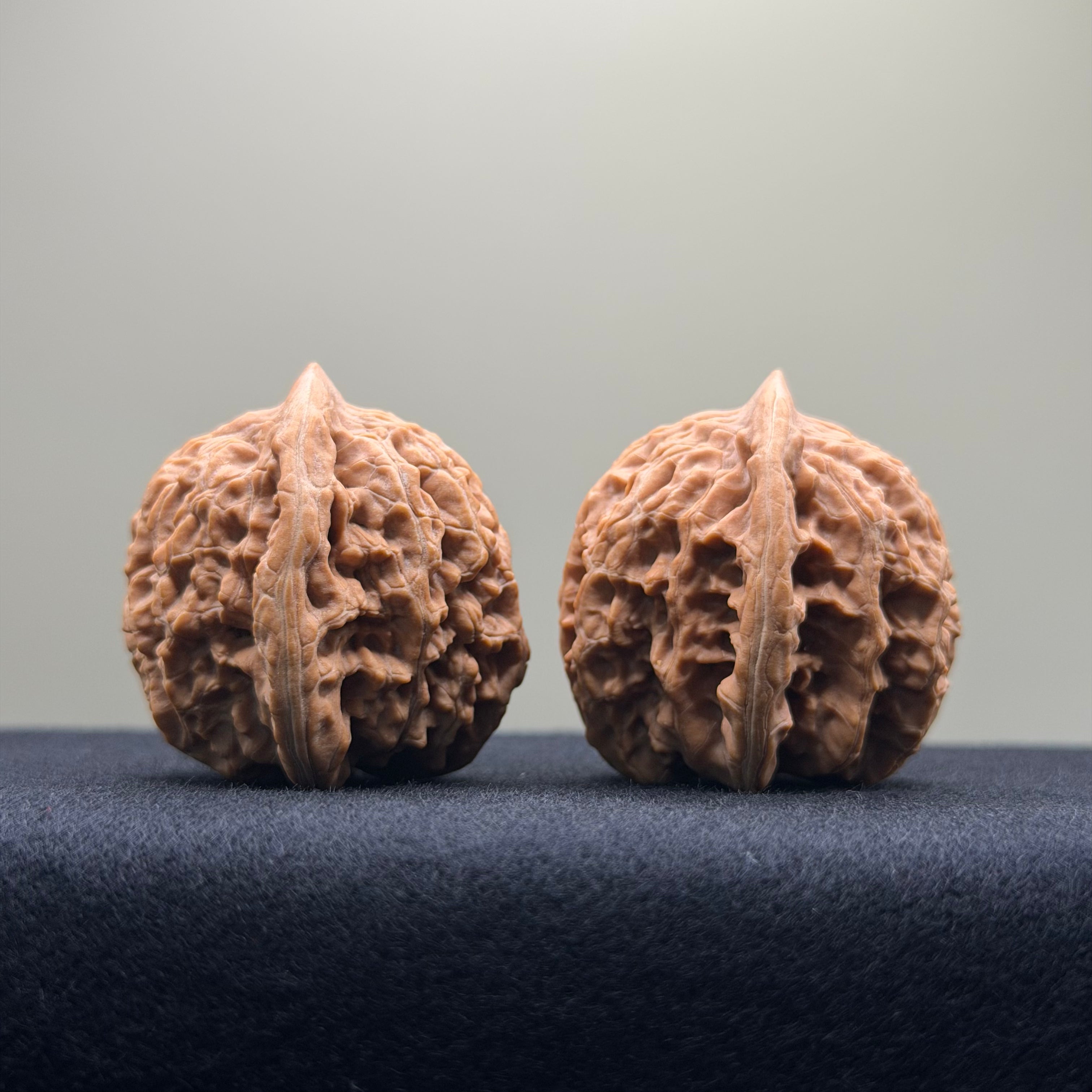 Coiled Dragon Tiger Head Wenwan Walnut · 35mm · Natural · Entry Ritual