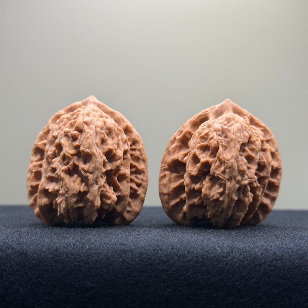 Coiled Dragon Tiger Head Wenwan Walnut · 38mm · Natural · Entry Ritual