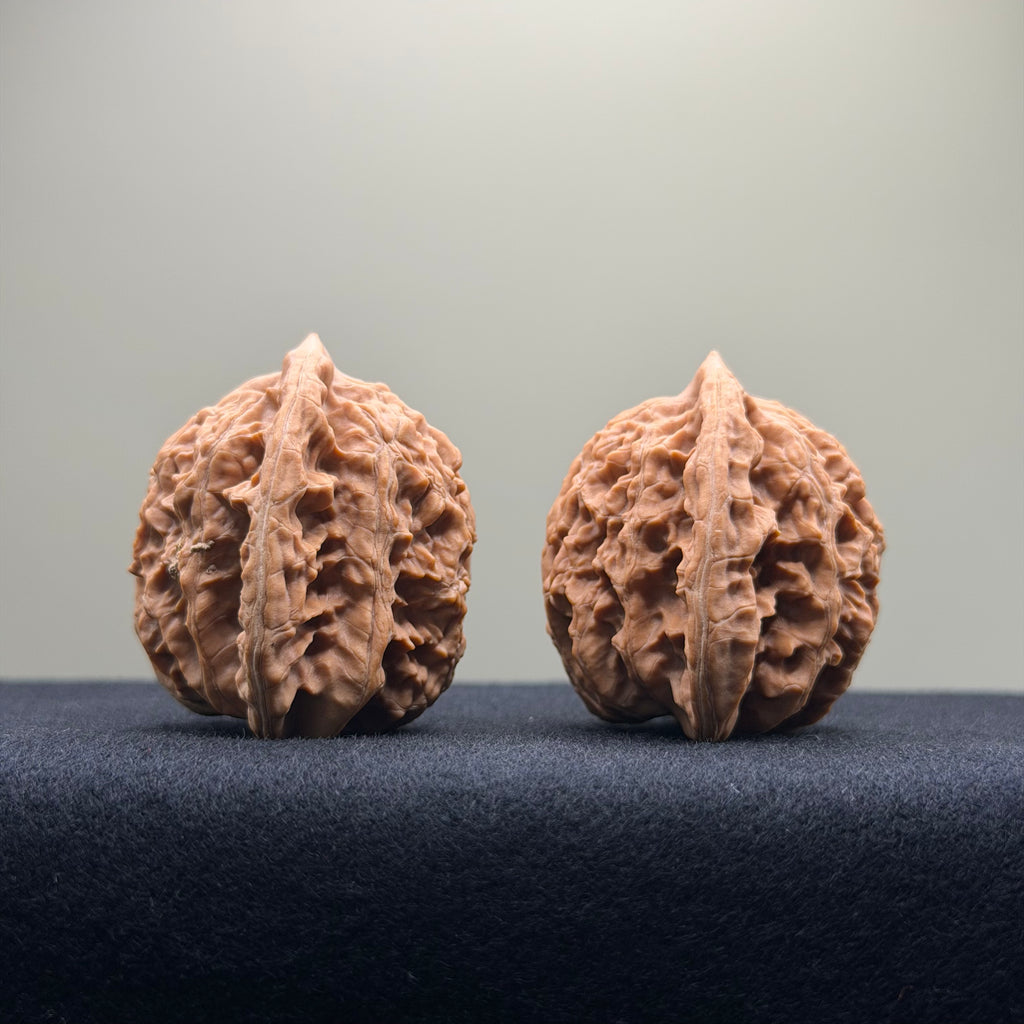 Coiled Dragon Tiger Head Wenwan Walnut · 38mm · Natural · Entry Ritual